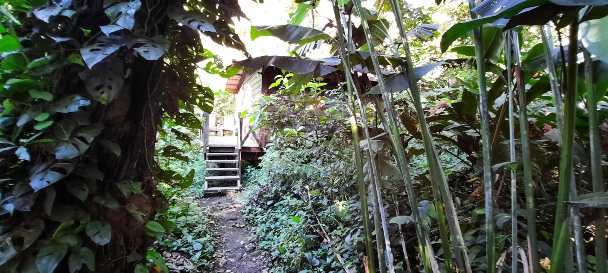 Mombacho Lodge Granada Exterior photo