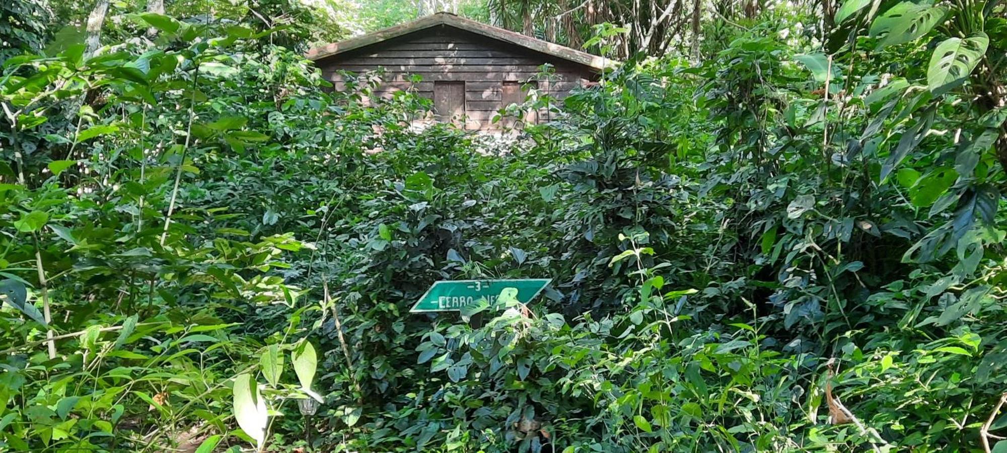 Mombacho Lodge Granada Exterior photo